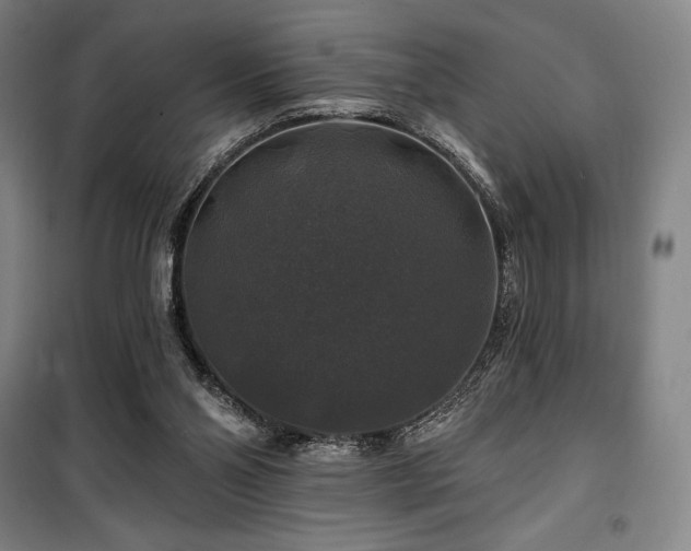 X0000100370110200806061204