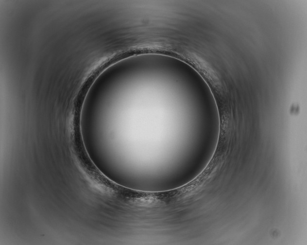 X0000100370112200806061204