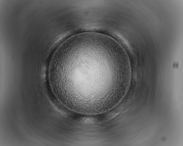 X0000100370115200806061204