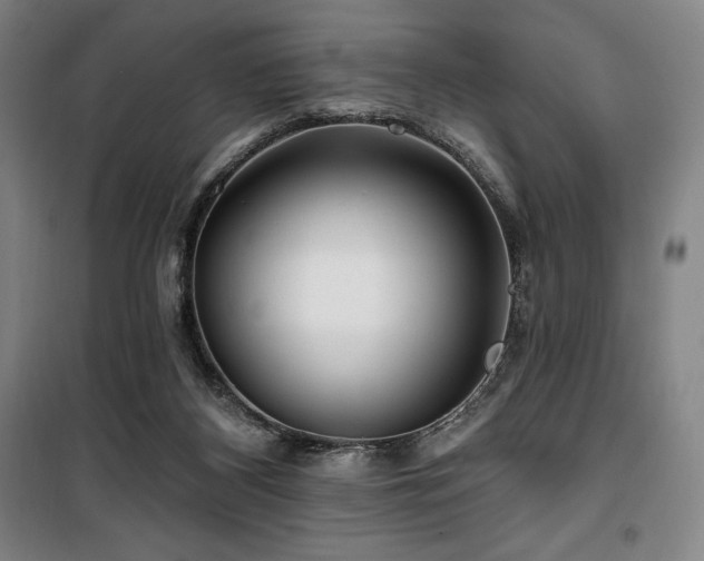 X0000100370116200806061204