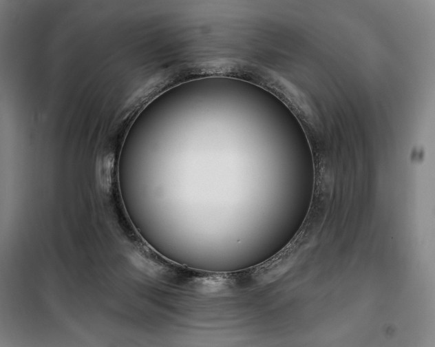 X0000100370118200806061204