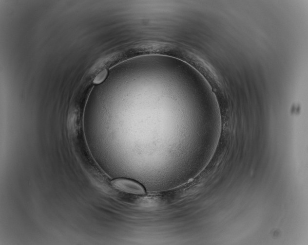 X0000100370119200806061204