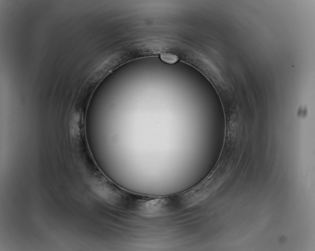 X0000100370122200806061204