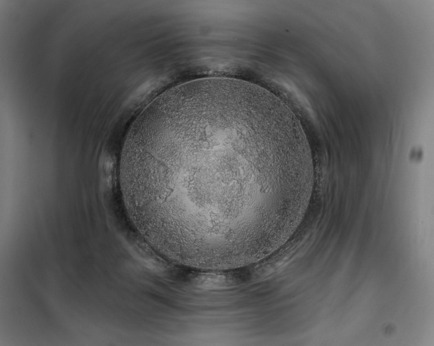 X0000100370123200806061204