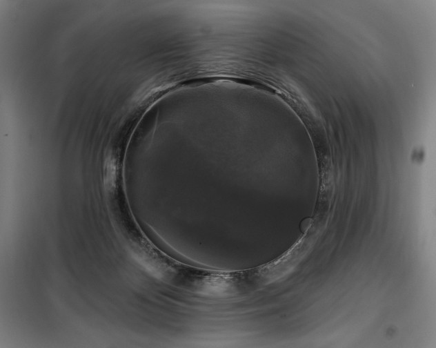 X0000100370124200806061204