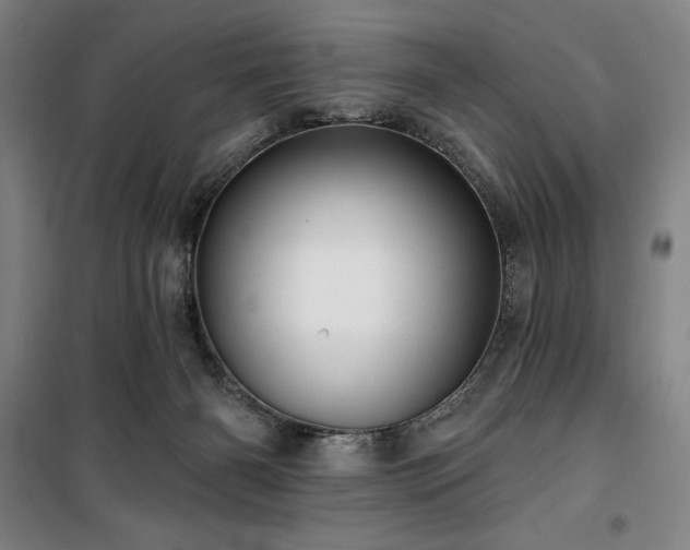 X0000100370126200806061204