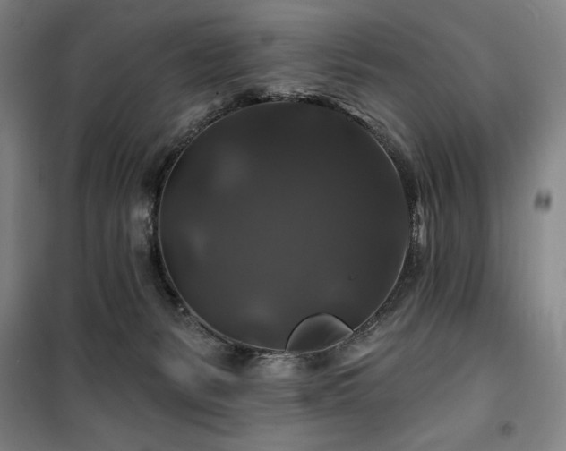 X0000100370127200806061204