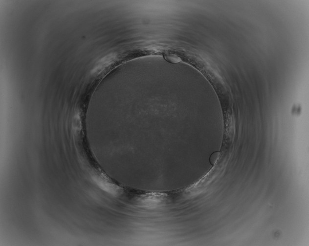 X0000100370128200806061204