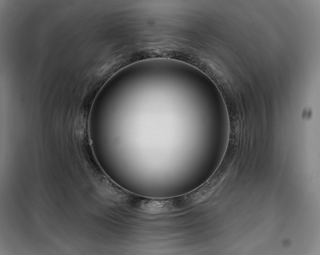 X0000100370129200806061204