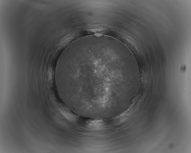 X0000100370132200806061204