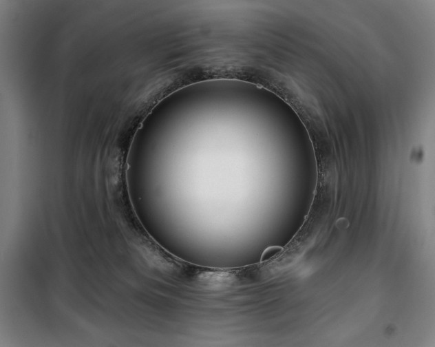 X0000100370133200806061204