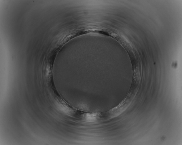 X0000100370134200806061204