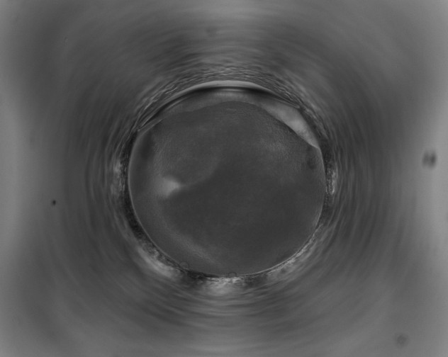 X0000100370136200806061204