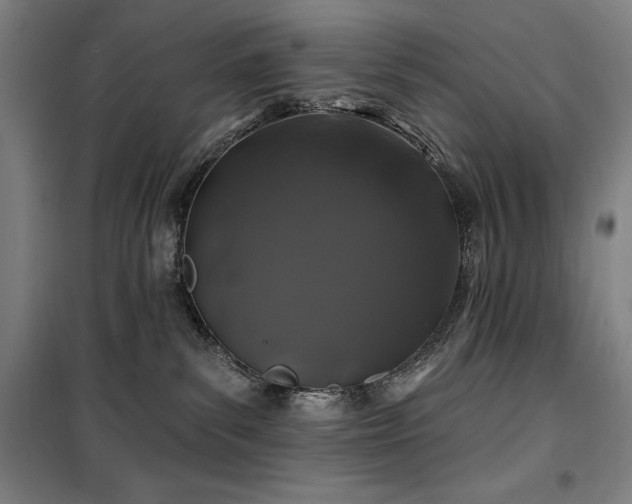 X0000100370139200806061204