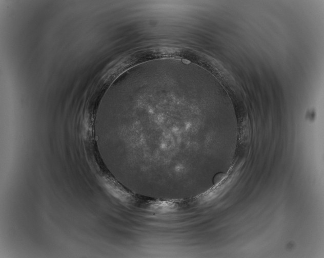 X0000100370140200806061204