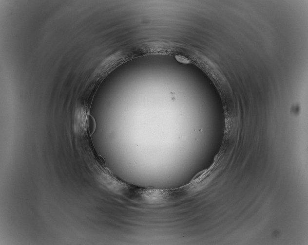 X0000100370142200806061204