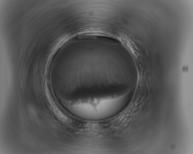 X0000100370145200806061203