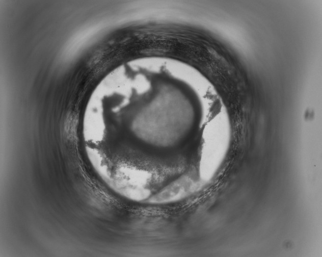 X0000100370146200806061203