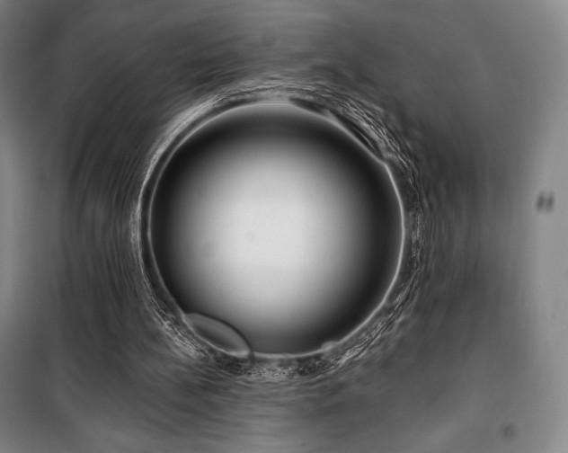 X0000100370148200806061203