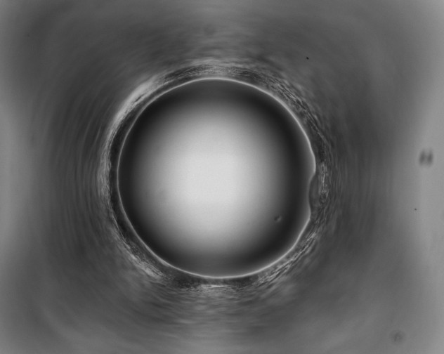 X0000100370150200806061203