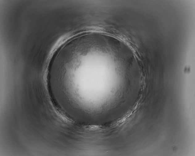 X0000100370151200806061203