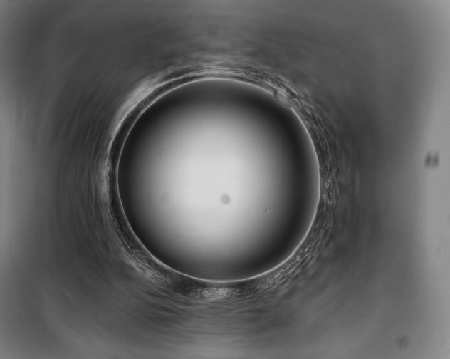 X0000100370152200806061203