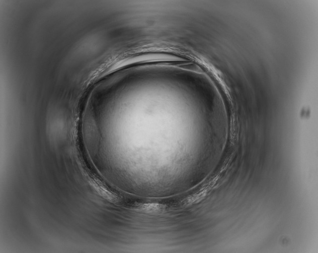 X0000100370153200806061203