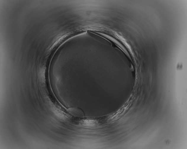 X0000100370154200806061203