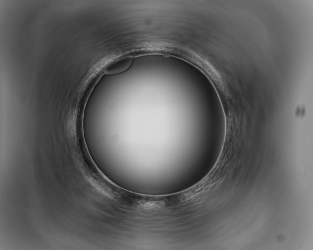 X0000100370155200806061203