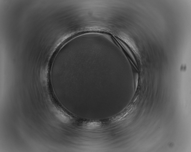 X0000100370156200806061203