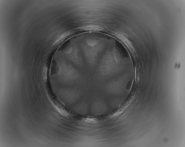 X0000100370157200806061203