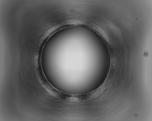 X0000100370159200806061203