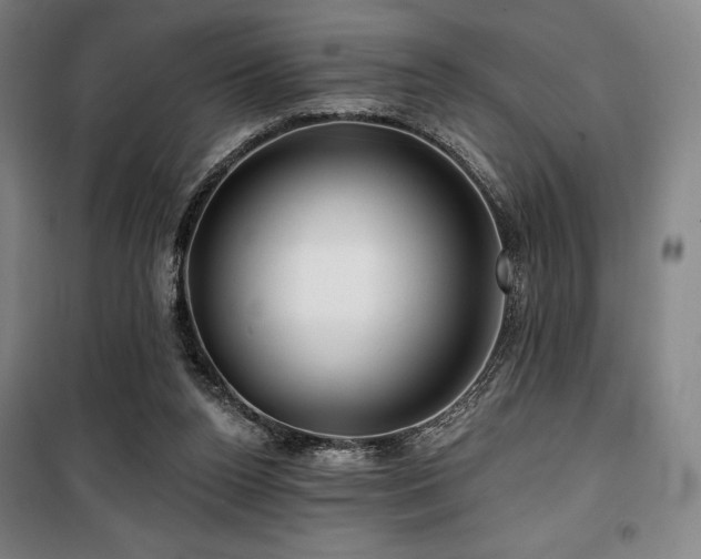 X0000100370160200806061203