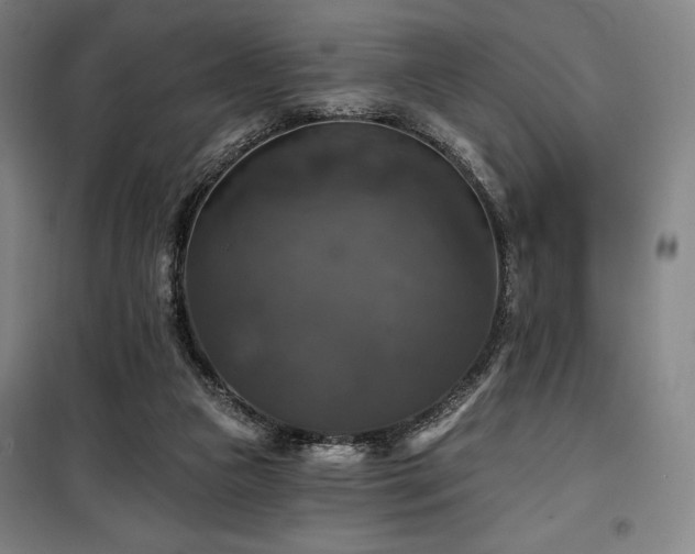 X0000100370161200806061203