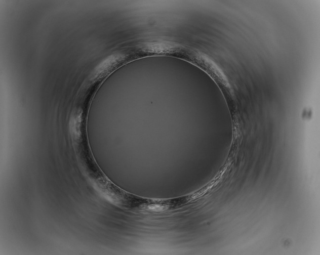 X0000100370163200806061203