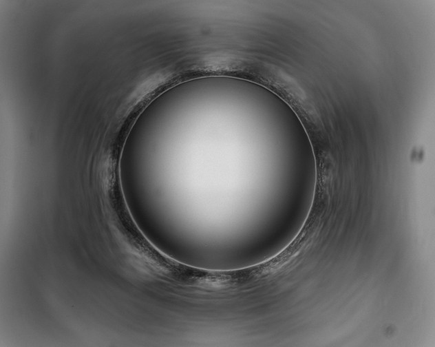 X0000100370164200806061203