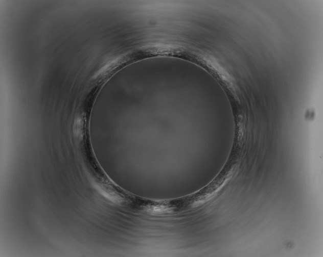 X0000100370165200806061203