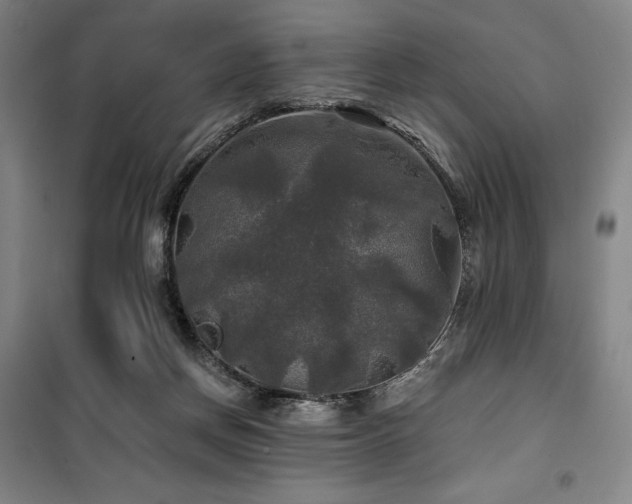 X0000100370166200806061203