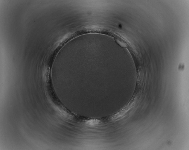 X0000100370168200806061203