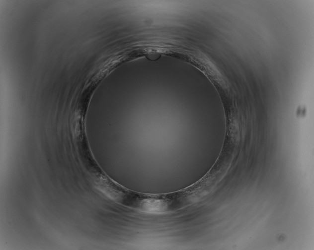 X0000100370169200806061203