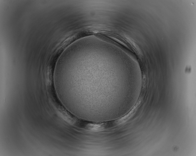 X0000100370170200806061203