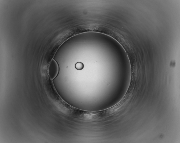 X0000100370172200806061203