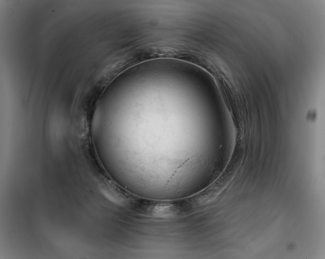 X0000100370173200806061203