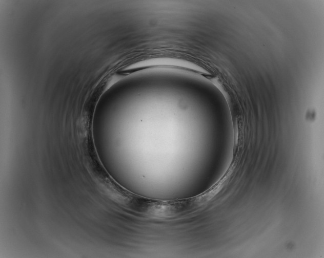 X0000100370174200806061203