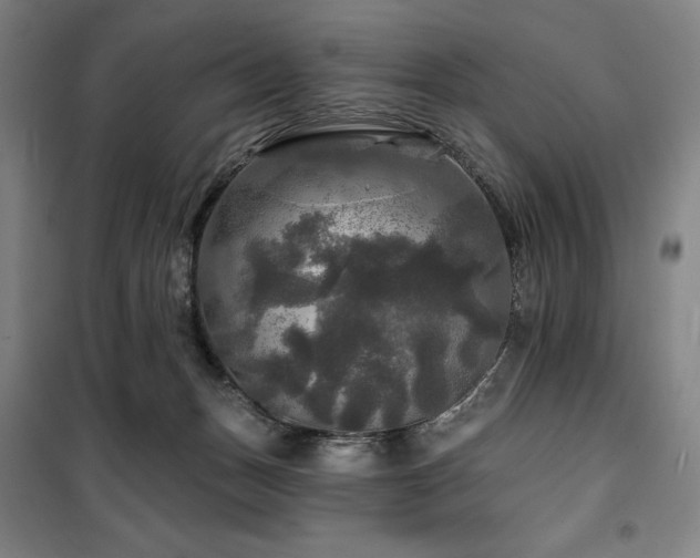 X0000100370175200806061203