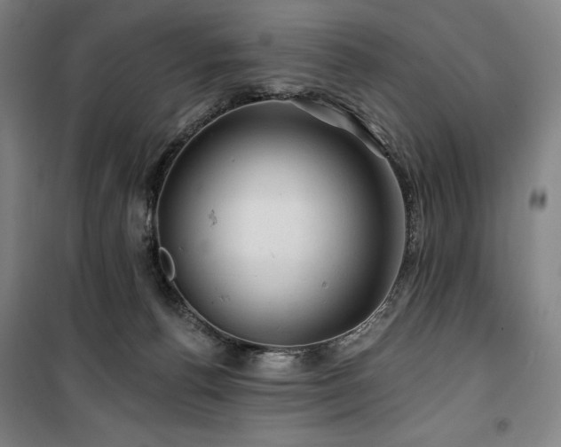 X0000100370176200806061203