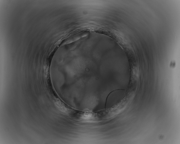 X0000100370177200806061204