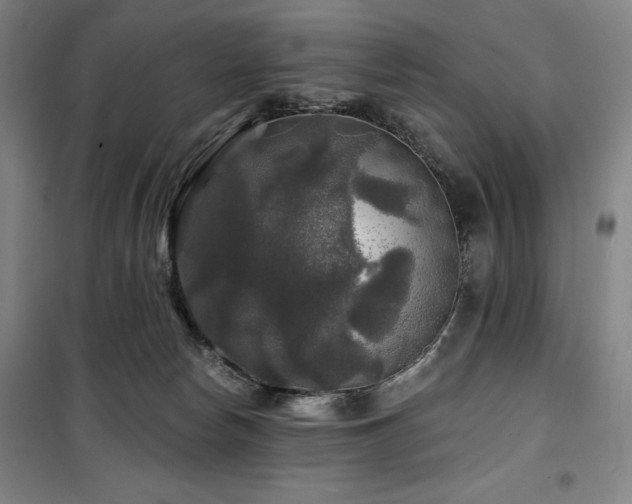 X0000100370178200806061204