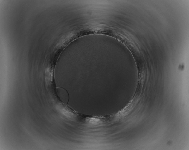 X0000100370180200806061204