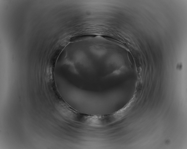 X0000100370182200806061204